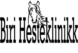 Biri hesteklinikk logo 2018.jpg